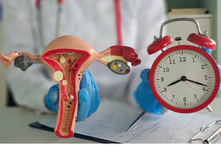 Menopause Care