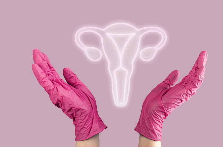 Cosmetic Gynecology
